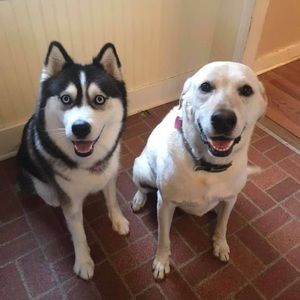 Meet your Posher, Mary ann